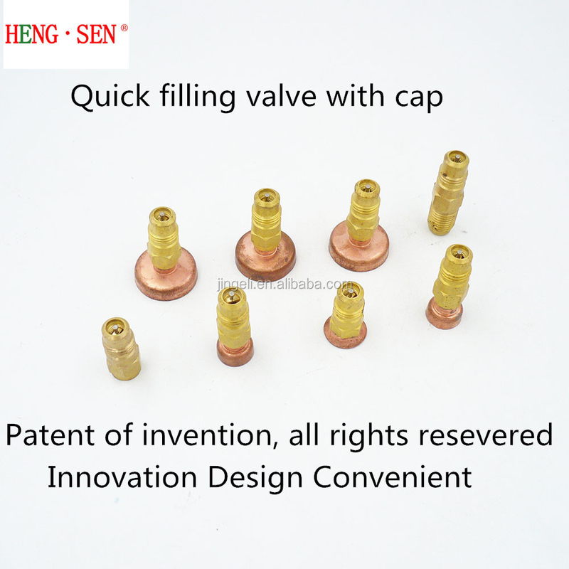 Multipurpose Stable Gas Filling Valve , Hydraulic Refrigerant Fill Valve