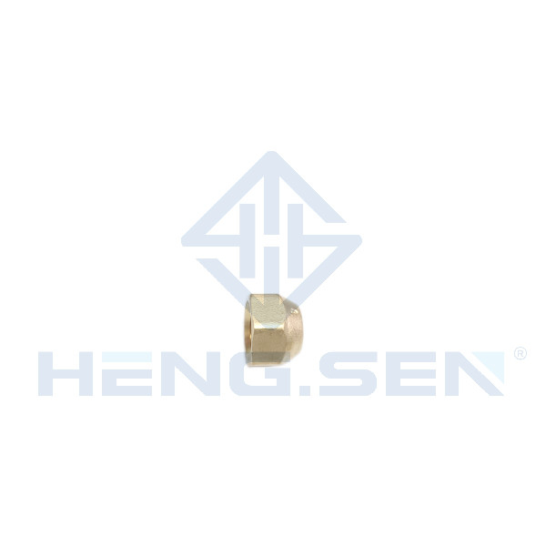OEM Forged Brass Pipe Fittings Flare Nut 1/4 Inch Multi Scene