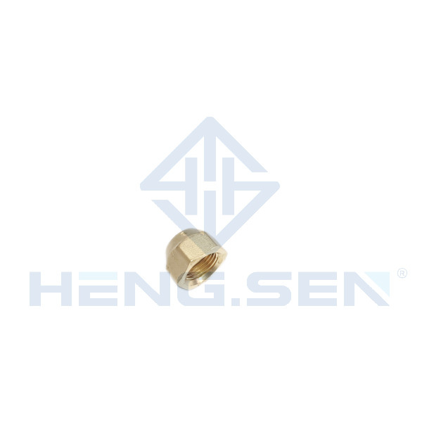 OEM Forged Brass Pipe Fittings Flare Nut 1/4 Inch Multi Scene